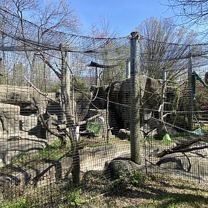 Apr. 2022 - Forests - White-handed Gibbon Exhibit