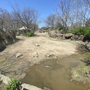 Apr. 2022 - Plains - Southern White Rhino Exhibit