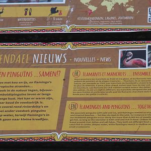 Flamingos and penguins in one aviary signage, 2021-11-06