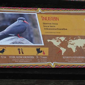 Inca tern signage, 2021-11-06