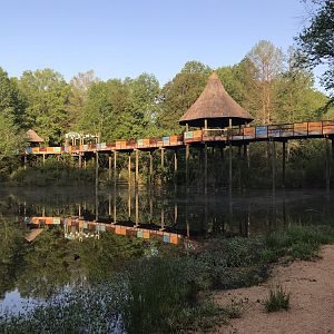 African Entrance Bridge from Hippo Beach
