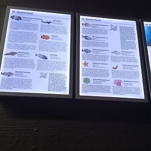 Signage Example Aquarium