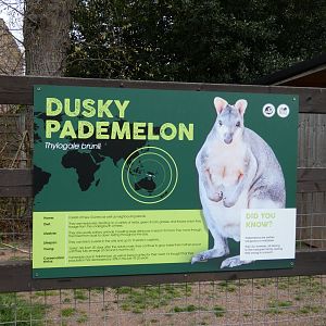 Pademelon signage