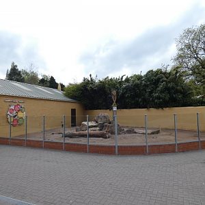 Meerkat and Porcupine outdoor enclosure