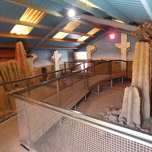 Meerkat and Porcupine indoor enclosure