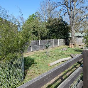 Dusky pademelon enclosure