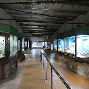 View in reptile house