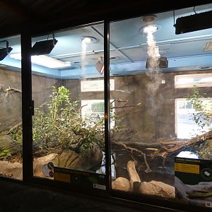 Anaconda enclosure