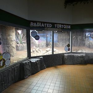 Radiated tortoise enclosure