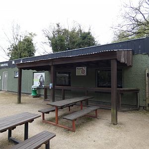 Sulawesi crested macaque indoor viewing area