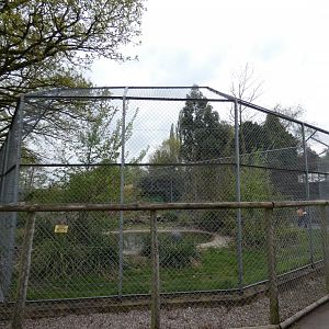 Sumatran tiger enclosure