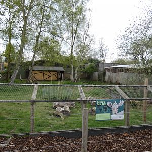 Kirk's dik-dik and crowned crane enclosure