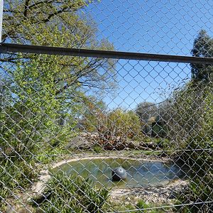 Sumatran tiger enclosure
