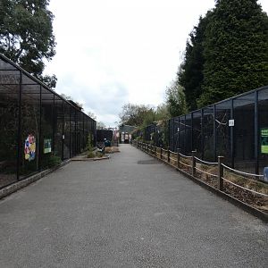 Parrot aviaries