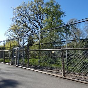 Side-view of tiger enclosure
