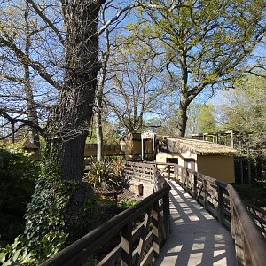 View of Tamarin Trail