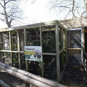 Pygmy marmoset enclosure