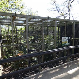 Goeldi's monkey enclosure