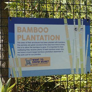 Red panda bamboo plantation signage