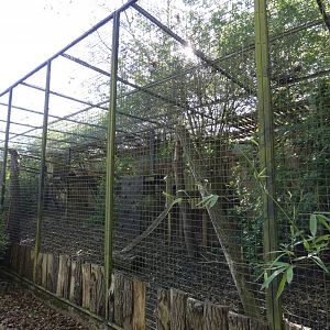 Red panda enclosure
