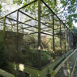 Fishing cat enclosure
