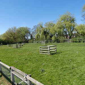 Emu enclosure