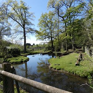 Brazilian tapir and capybara enclosure (2)
