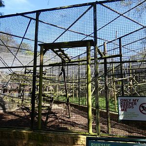 Rhesus macaque enclosure