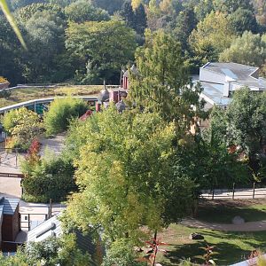 View at part of the zoo from above