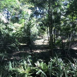 Maribou Stork Exhibit