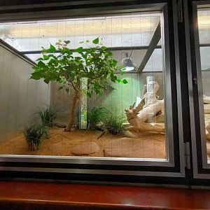 Indian Cobra Habitat