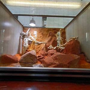 Stimsons Python Habitat