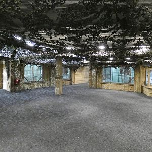 Viewing area of Gibbon Forest