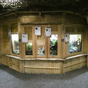 Gibbon Forest vivariums