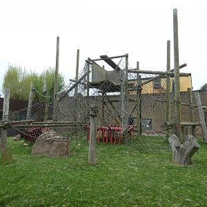 Bornean orang-utan outdoor enclosure