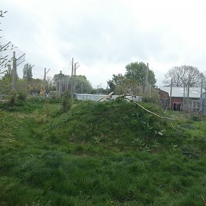 Sumatran tiger enclosure