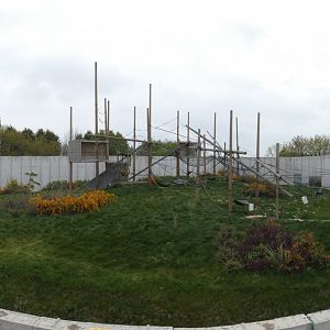 Chimpanzee Eden panorama