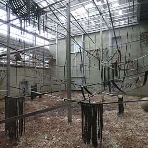 Chimpanzee indoor enclosure (2)
