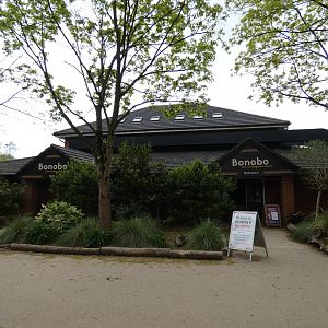 Bonobo House