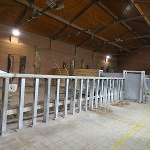 Black rhino indoor area