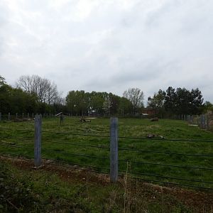 Black rhino grass paddock