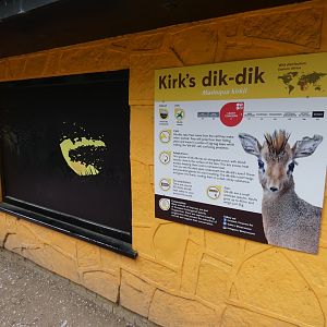 Dik-dik indoor viewing area