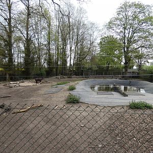 Brazilian tapir enclosure