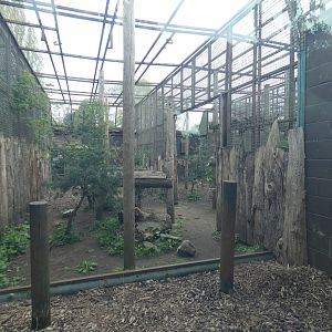 Amur leopard enclosure (2)