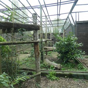 Amur leopard enclosure (3)