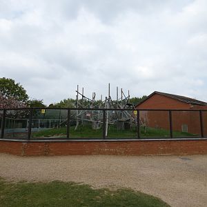 Former bonobo enclosure