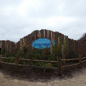 "The deep, dark wood butterfly paradise" in Gruffalo Discovery Land