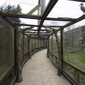 Aviary in Gruffalo Discovery Land