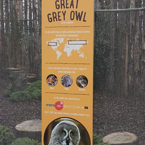 Great grey owl signage