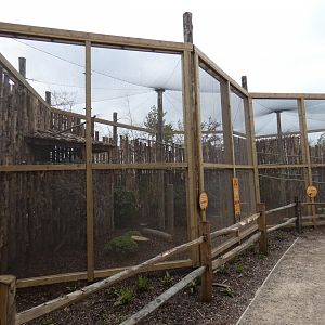 Great grey owl aviary in Gruffalo Discovery Land